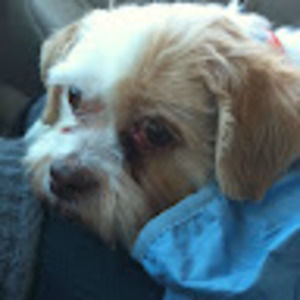 Meet your Posher, Elle